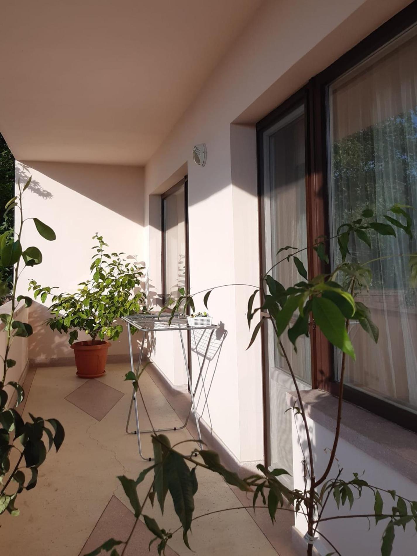 Ten'S Apartment - Spatios Si Linistit クルージュ＝ナポカ エクステリア 写真